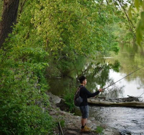 A young fisherman tries his luck under a disputed oak tree. Kletszch Park is home to many such trees, some may be over 200 years old.