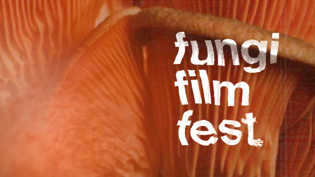 The Urban Ecology Center hosts second Fungi Film Fest