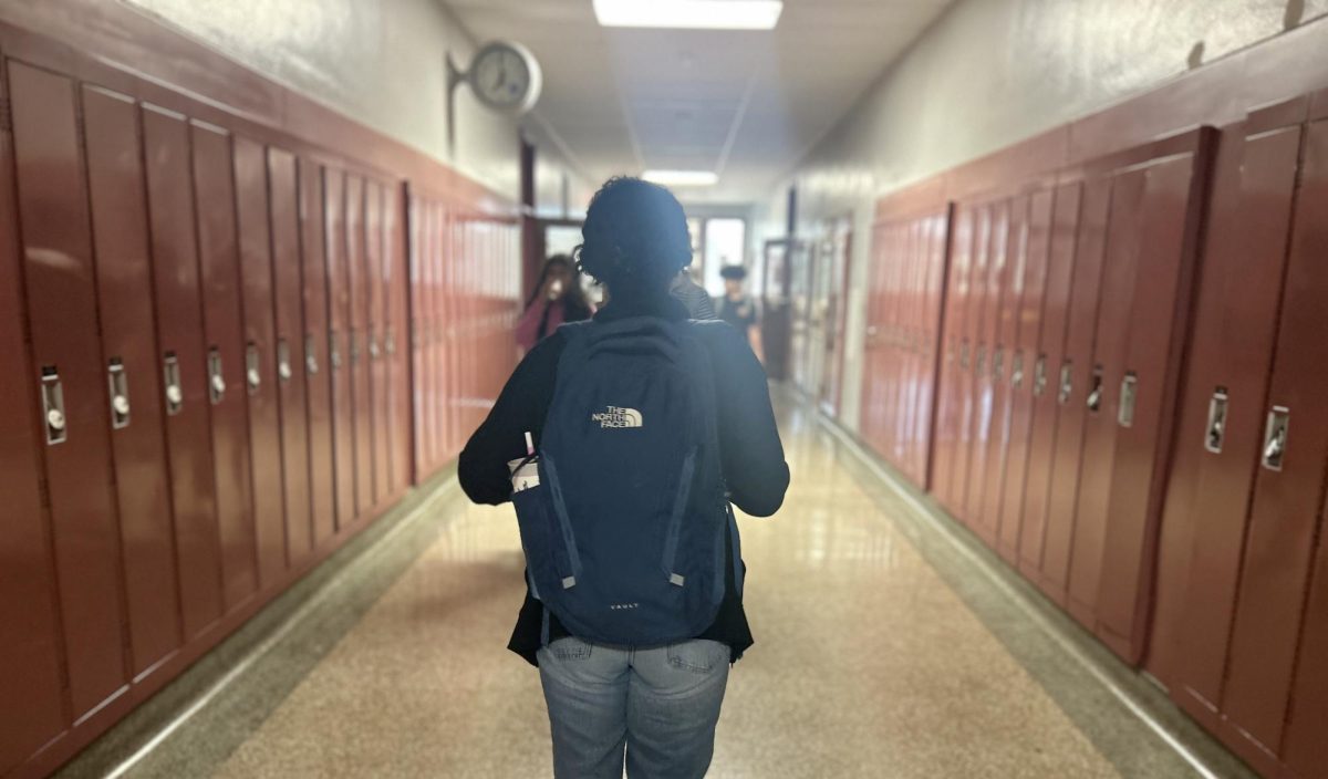 In the Halls: your guide to an amazing year